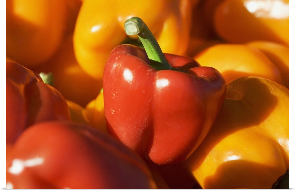 USA, Massachusetts, Boston, bell peppers