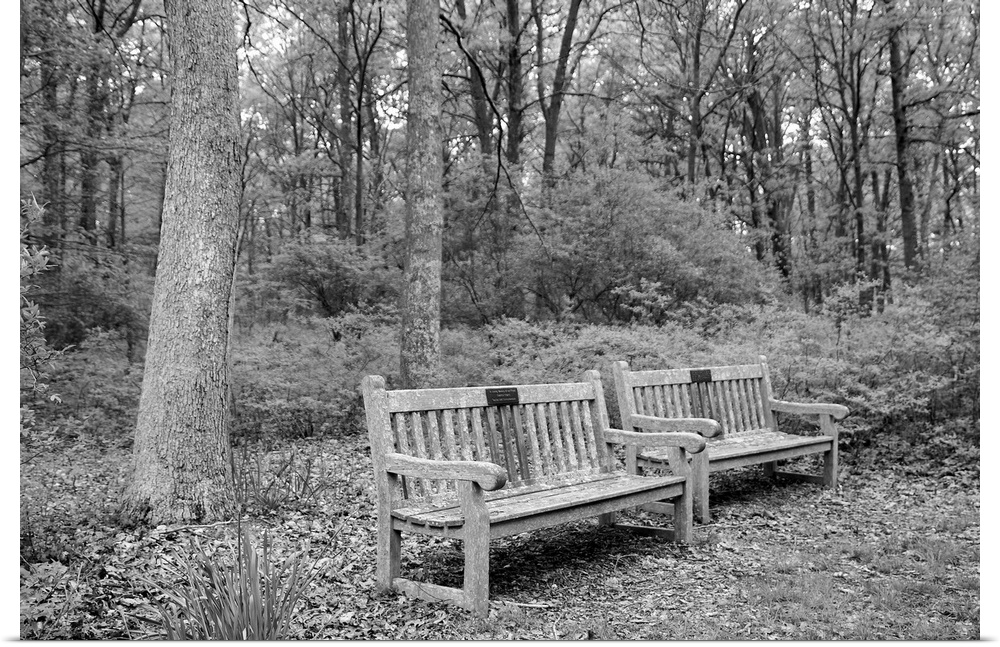 Bench in the park.Connetquot River State Park, Long Island, New York
