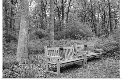 Bench in the park. Connetquot River State Park, Long Island, New York