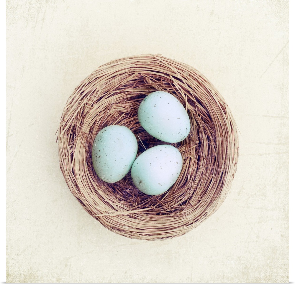 Bird nest with blue baby robins eggs against neutral textured background.