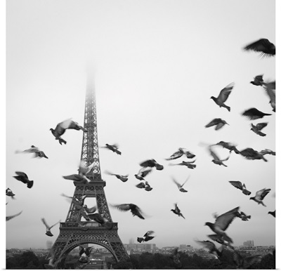 Birds And Eiffel Tower