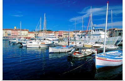 Boats anchored at a harbor, Saint Tropez, French Riviera, France