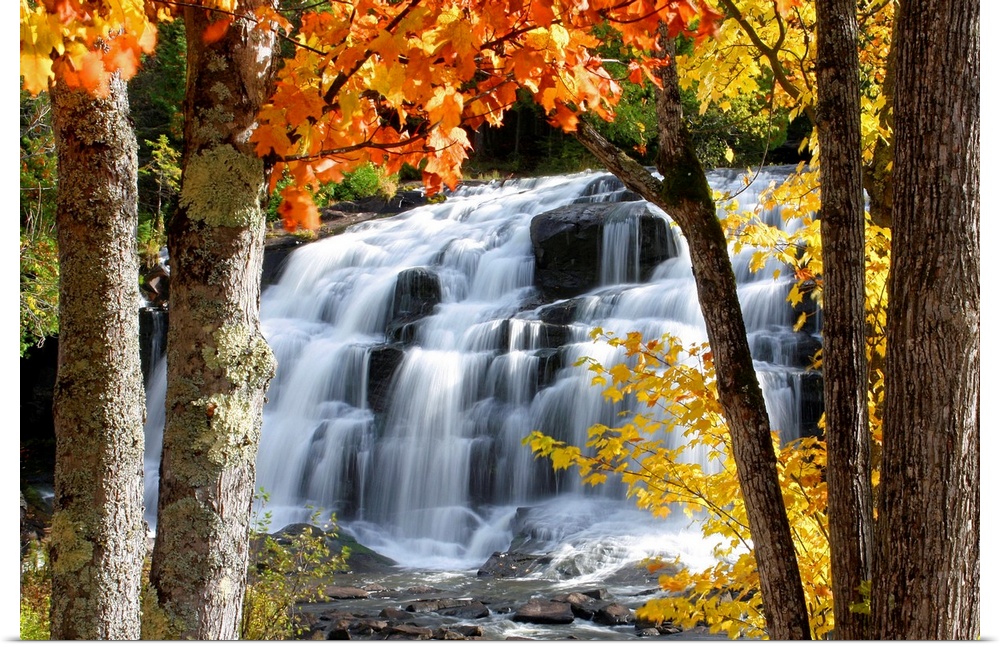 Horizontal, photograph on a giant canvas of Bond Falls in Paulding, Michigan, cascading over rocks.  Trees with fall folia...
