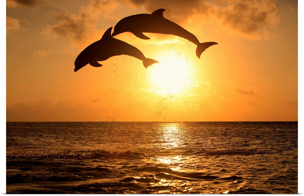 Decorative artwork for a beach home with two dolphins jumping out of water and over the sun setting in the background.