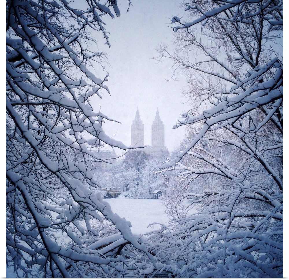 Bow Bridge as seen through snow-covered trees in New York City's Central Park.