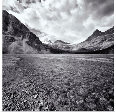 Bow Creek Black