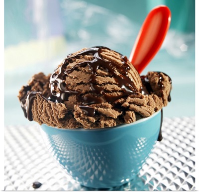 Bowl of chocolate ice cream with chocolate sauce