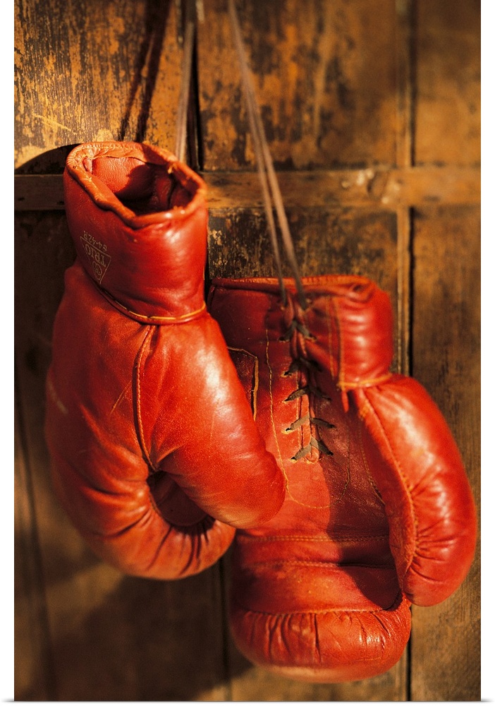 Vertical photograph of a pair of boxer's gloves against a wood background.
