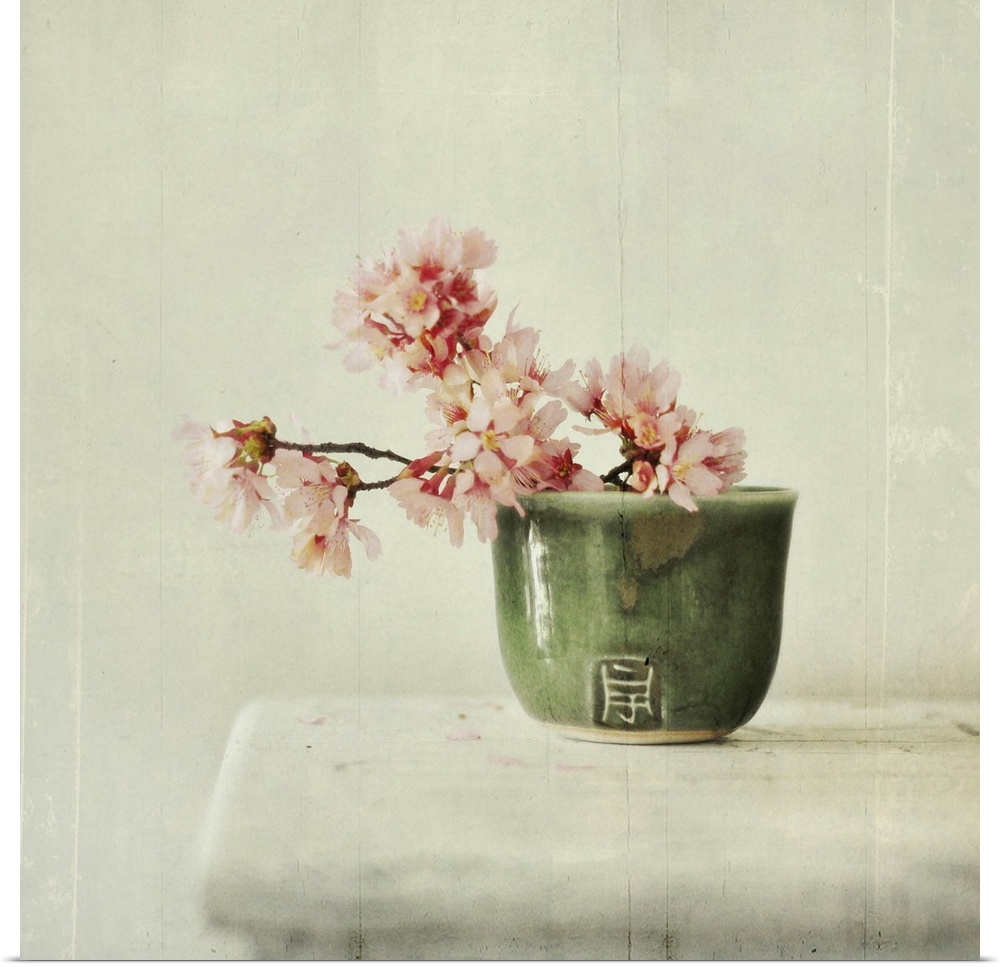 Branch of cherry blossoms sit in green tea bowl on white table.