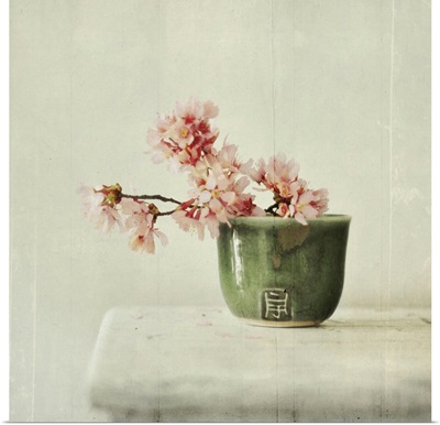 Branch of cherry blossoms sit in green tea bowl on white table.