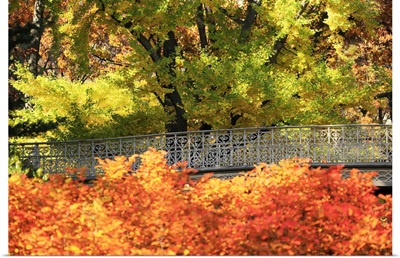 Bridge in New York City's Central Park, surrounded by fall foliage