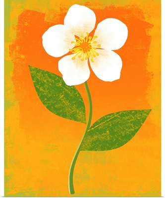 Bright Flower graphic poster illustration