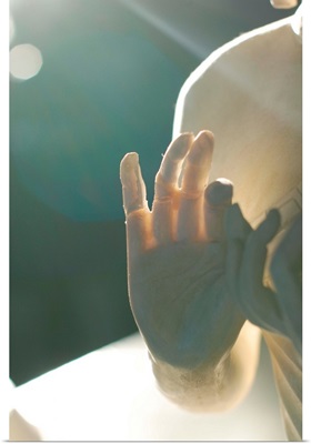 Buddha figure's hand is illuminated from behind.