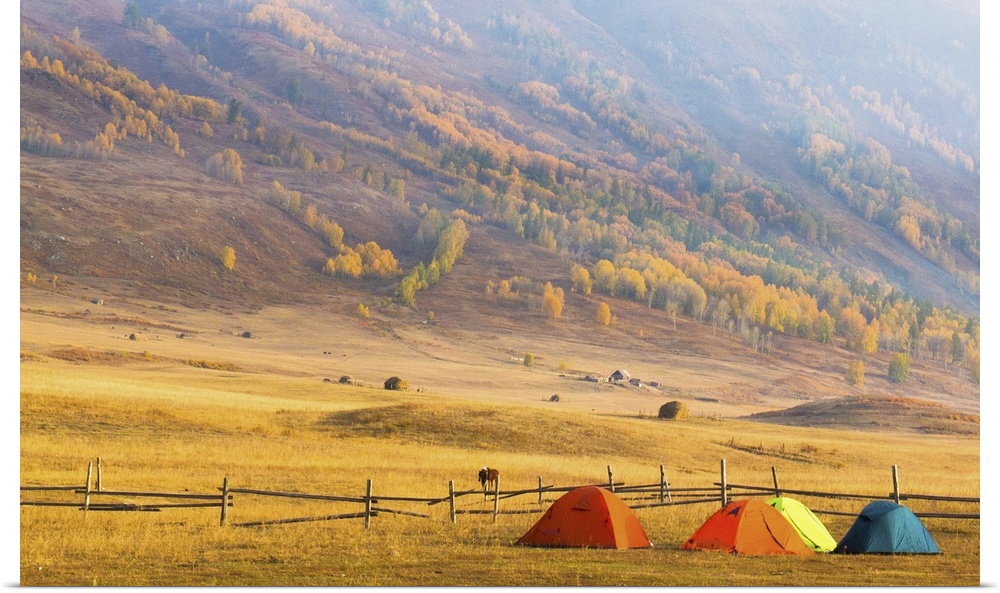 Colorful camping tents on hillside of Hemu in misty morning with mountains covered by magnificent colors of fall.