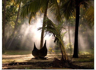 Canoe under palm trees in Kerala, India