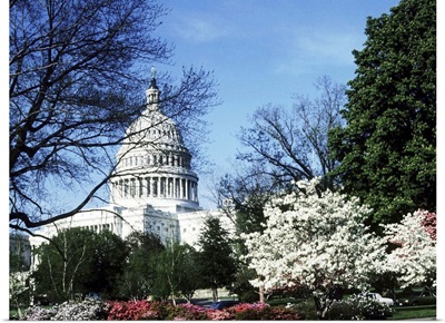 Capitol Building, Washington, DC