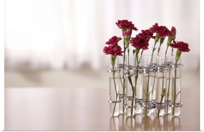 Carnations flowers kept in glasses on table.
