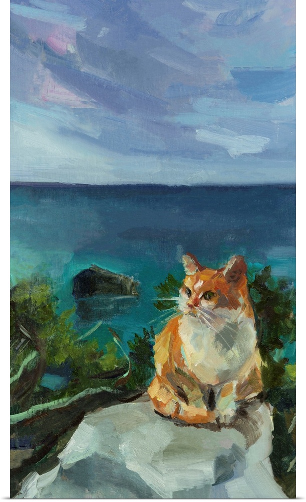 Portrait of a cute red and white cat on a turquoise sea background.
