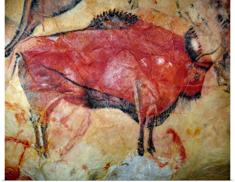 Painting of a bison in the cave of Altamira, Spain.