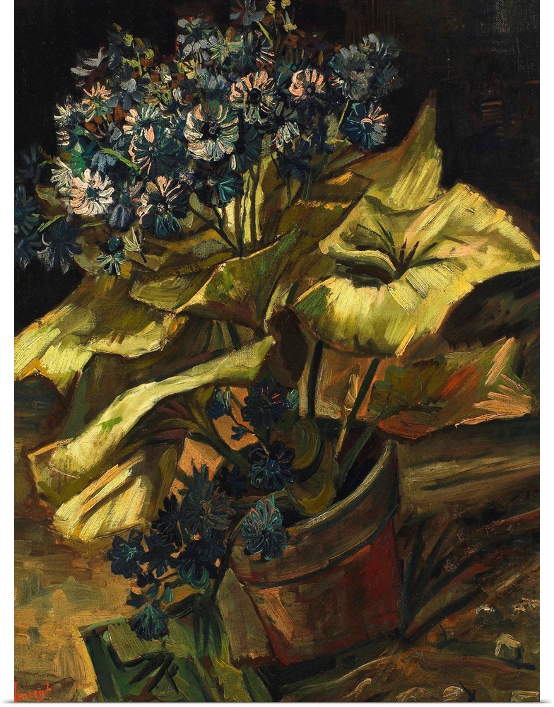 Vincent van Gogh (Dutch, 1853-1890), Cineraria Asters in a Pot, 1886, oil on canvas, 54.5 x 45.5 cm (21.5 x 17.9 in), Muse...