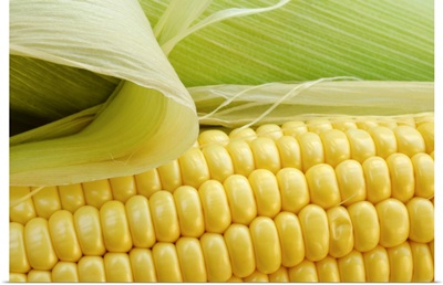 Close up of corn