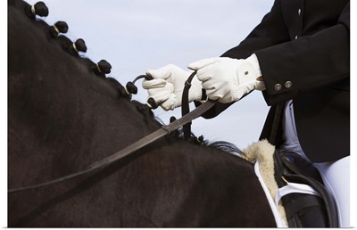 Close-up of dressage horse with rider