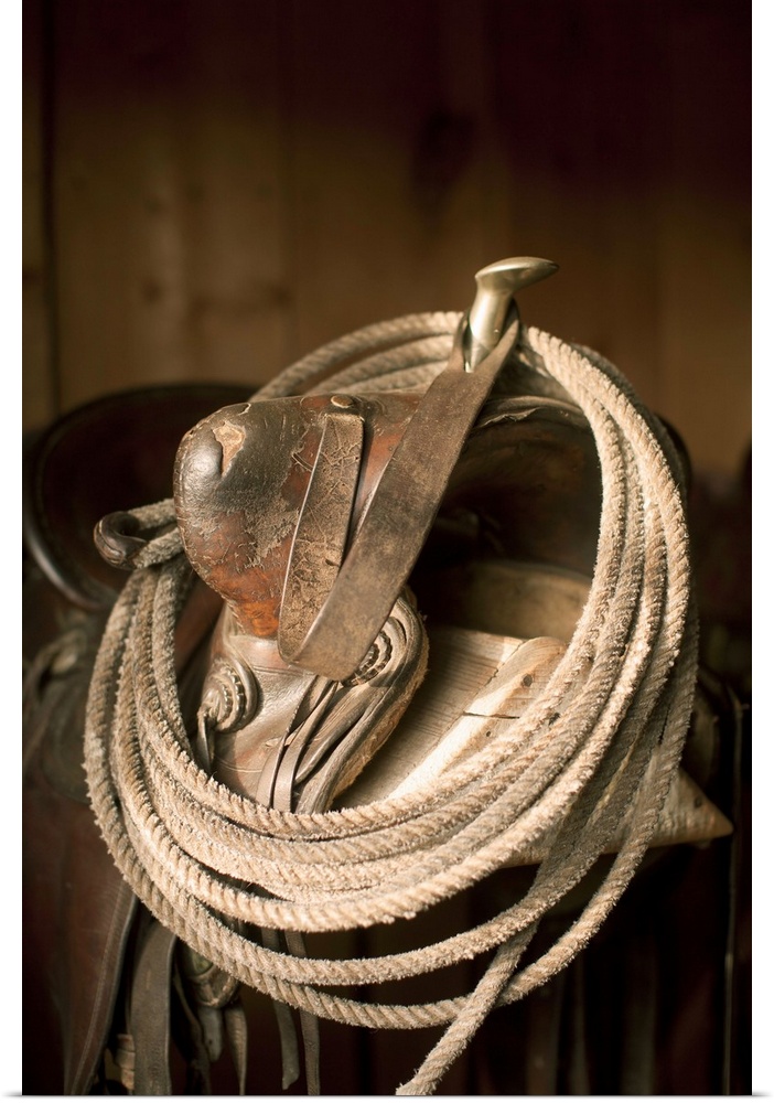 USA, Colorado, Close-up of saddle with rope
