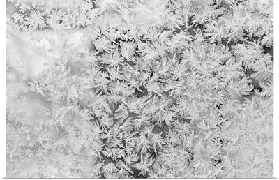 Close up of snowflakes