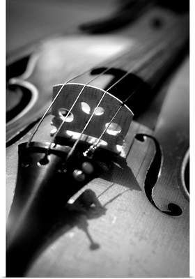 Close-up of strings of violin, Ottawa, Ontario.