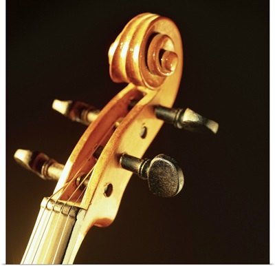 close-up of the keys of a violin