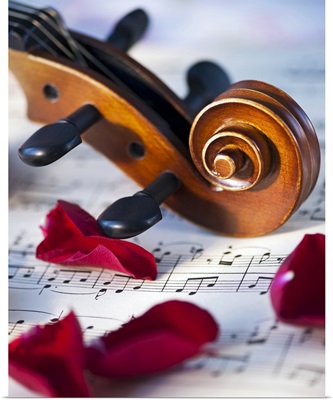 Close up of violin scroll and rose petals on sheet music