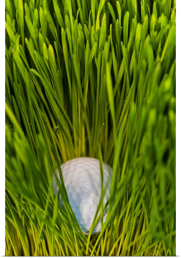 USA, New Jersey, Jersey City, Close-up view of golf ball in grass