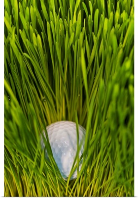 Close-up view of golf ball in grass