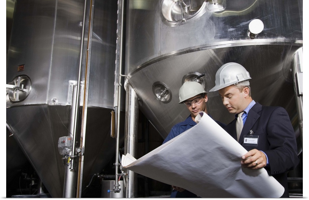 Co-workers reading blueprints in a brewery