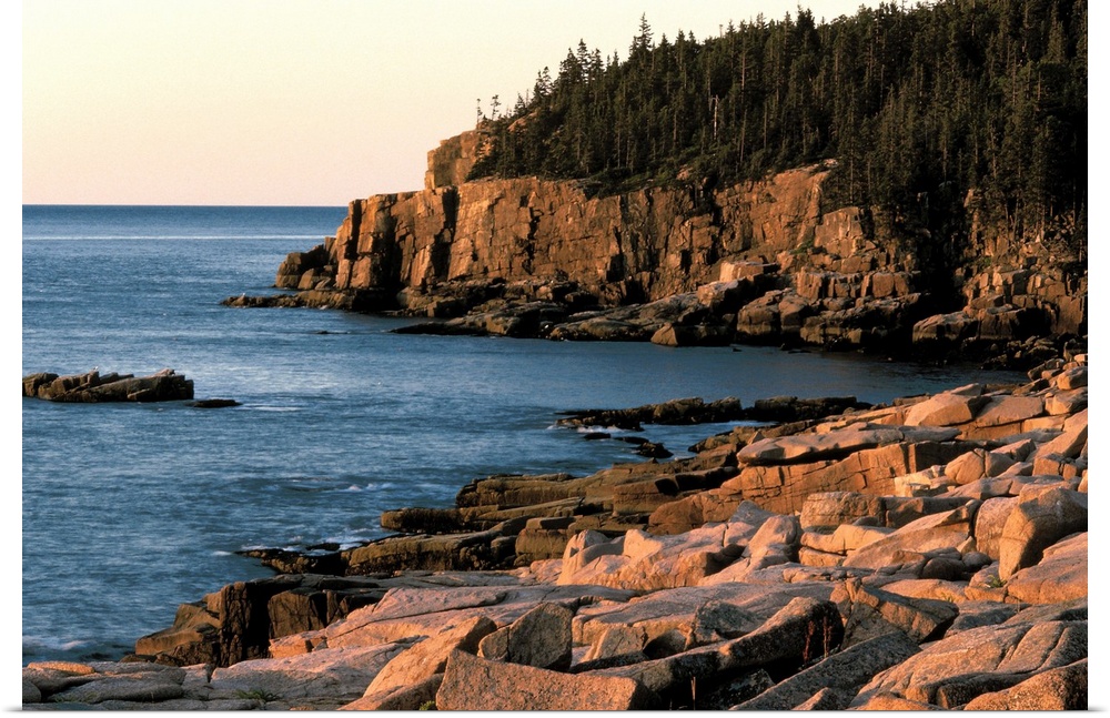 Coastline of Acadia National Park , Maine