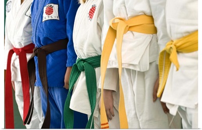 Colorful belts on martial arts students