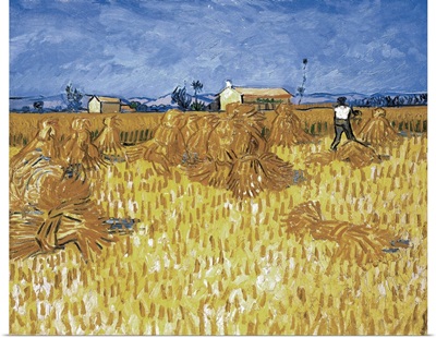 Corn Harvest In Provence By Vincent Van Gogh