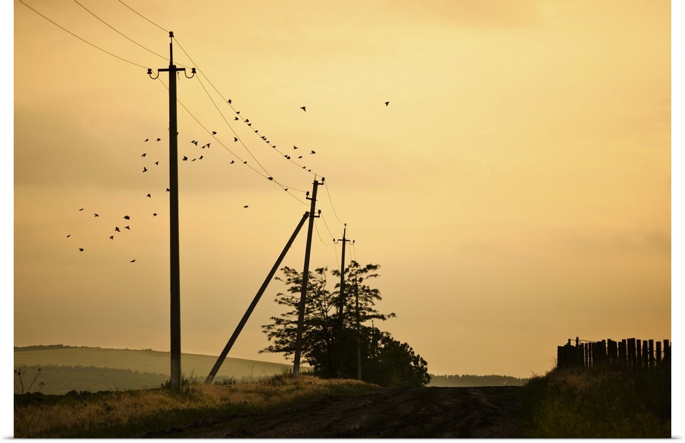 Countryside road with birds over electricity poles, at sunset, Moldova.