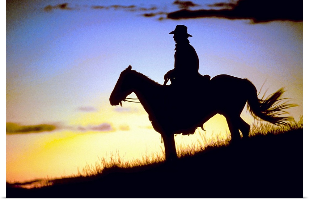 A lone figure and his steed on a hillside was the light fades around them in this landscape photograph.