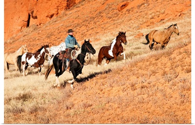 Cowboy Herding Horses