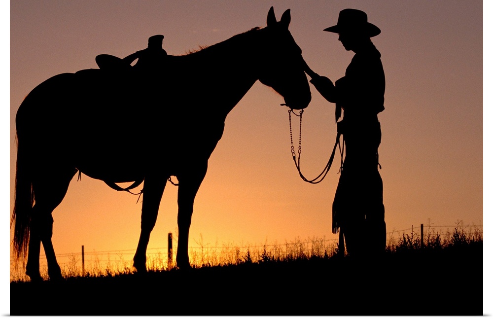 Cowboy Petting Horse At Sunset
