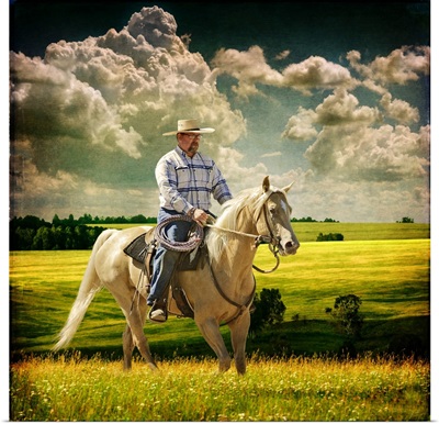 Cowboy riding Tennessee Walker horse in a meadow