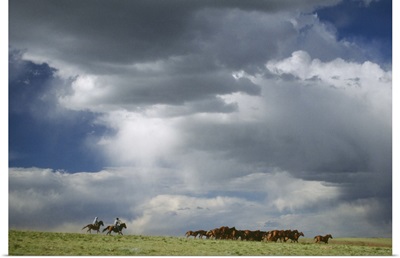 Cowboys moving herd of horses