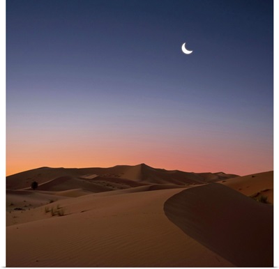 Crescent moon over dunes in Sahara Desert at dawn, Morocco.