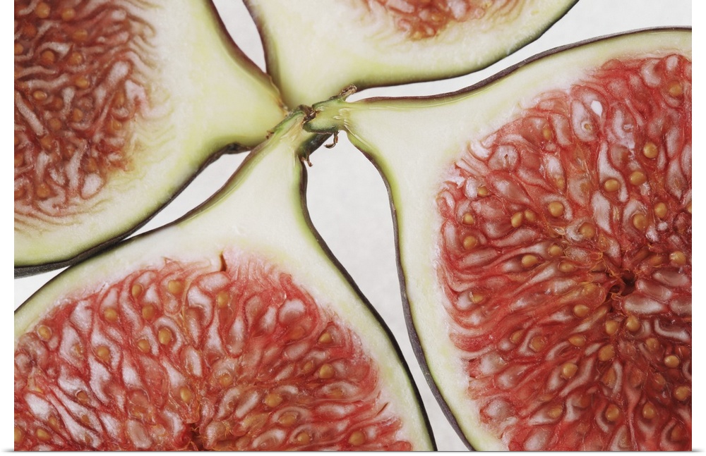 Cross-Section of a Fig