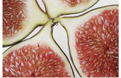 Cross-Section of a Fig