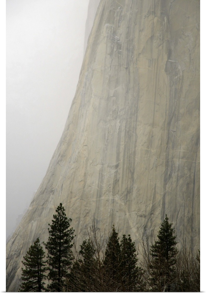 Detail of El Capitan, Yosemite Valley (Yosemite National Park, US)