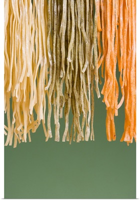 Different types of fettuccine