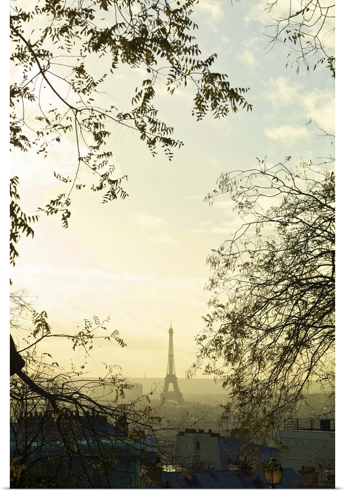 Early morning view through trees from Montmartre down to Eiffel Tower in mist.