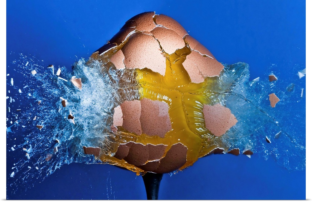 An ordinary egg exploding from a pellet rifle shot.